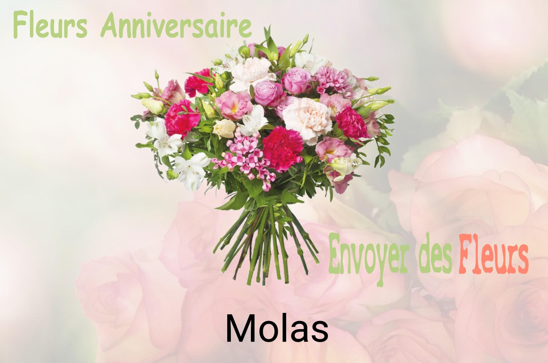 Bouquet de fleurs d’anniversaire livré à Molas