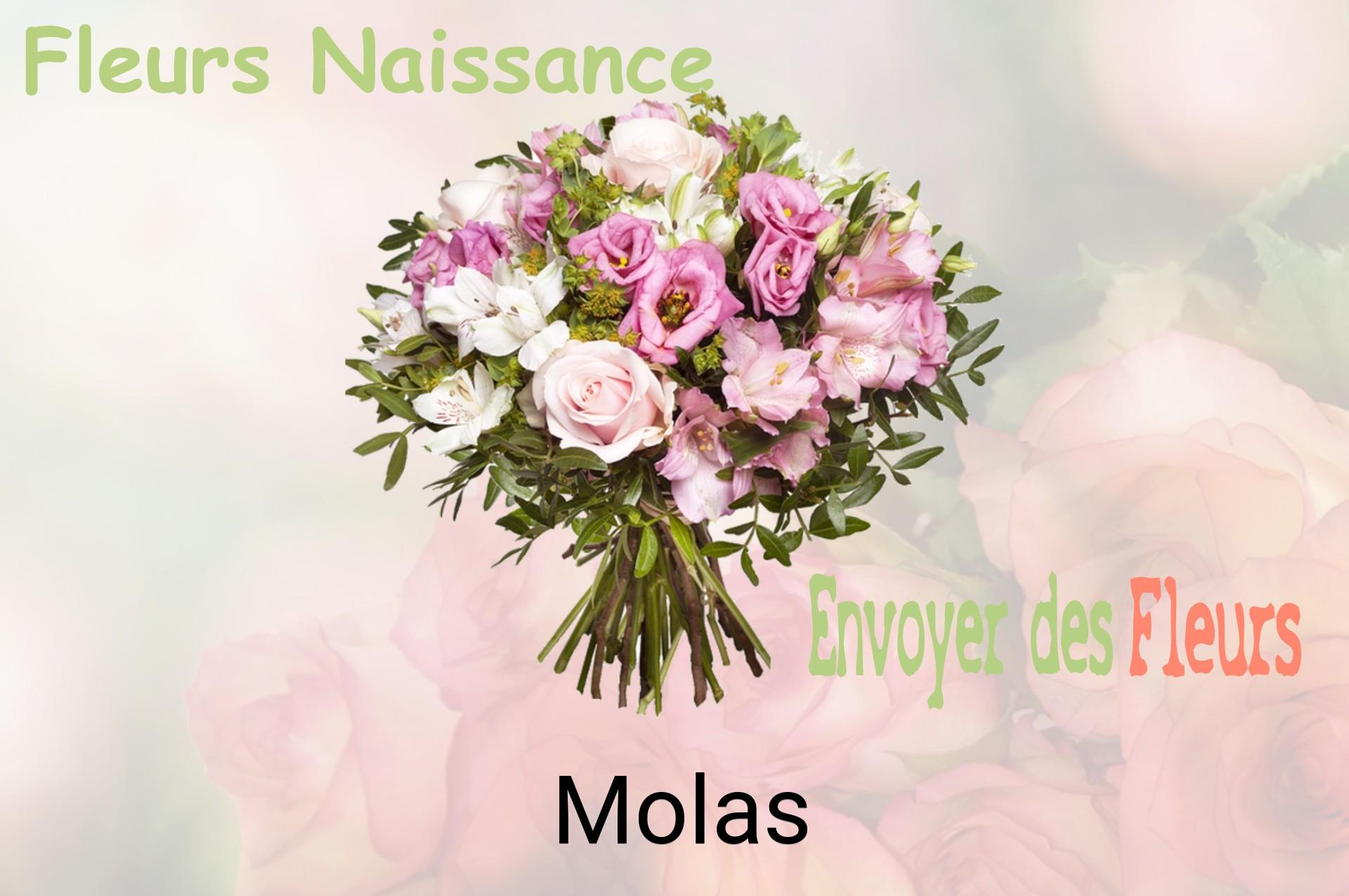 Bouquet de fleurs de naissance livré à Molas