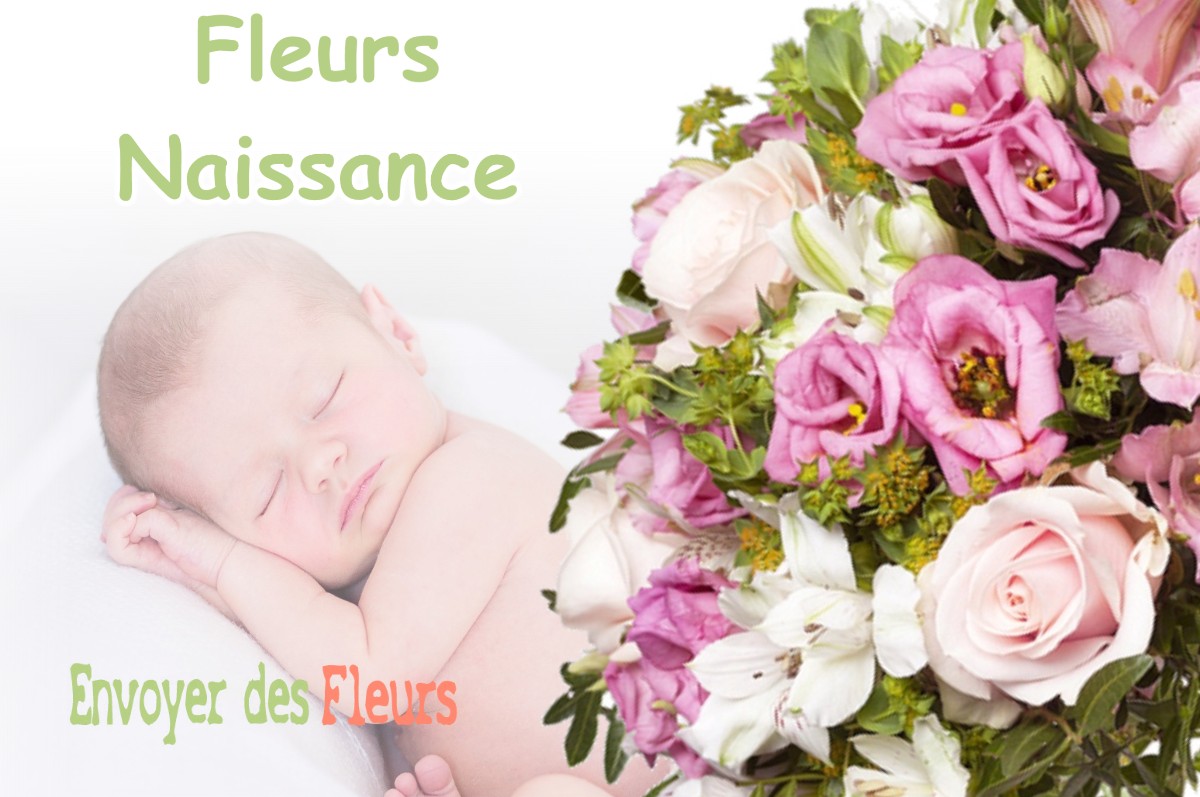 lIVRAISON FLEURS NAISSANCE à MOLAS