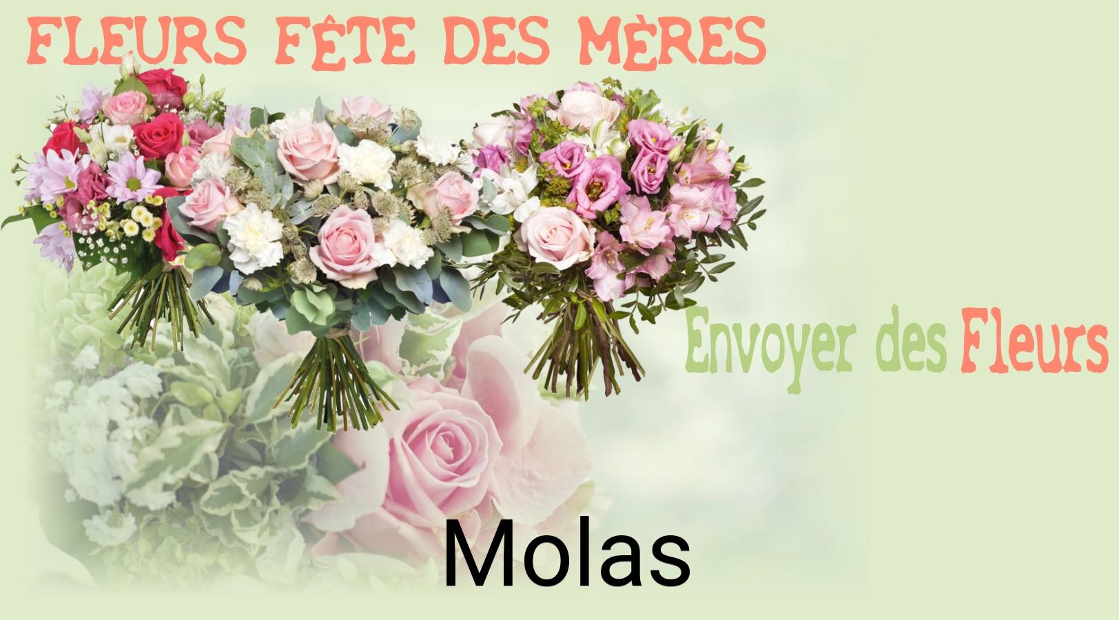 Bouquet de Fête des Mères livré à Molas